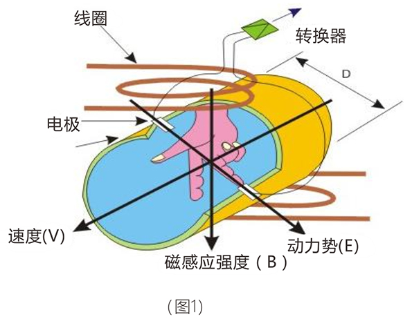 1672907929197354.jpg 20191213_142922.jpg