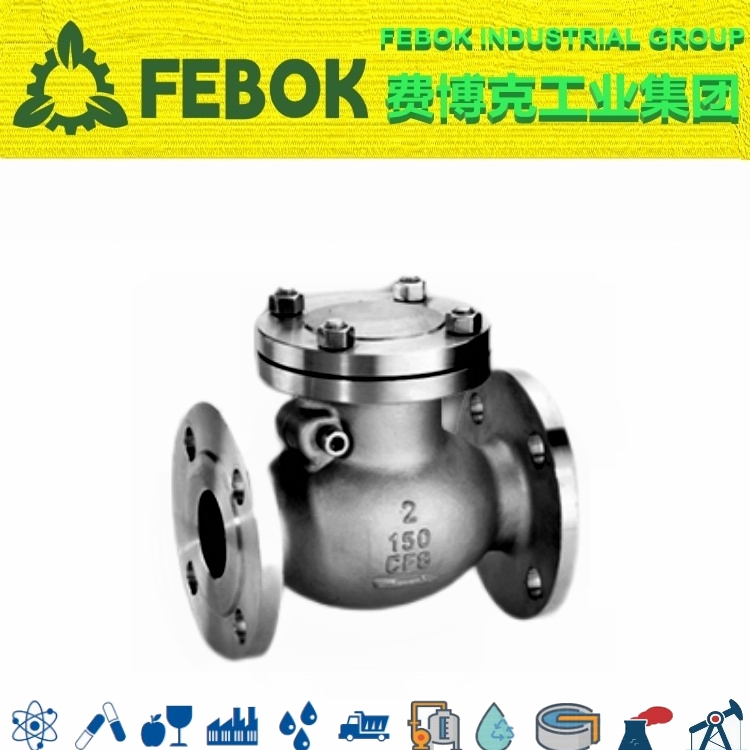 1679021829192211.jpg 进口美标旋启式止回阀.jpg