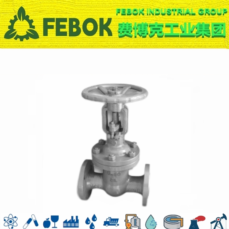 1702948797194948.png 进口真空闸阀.png