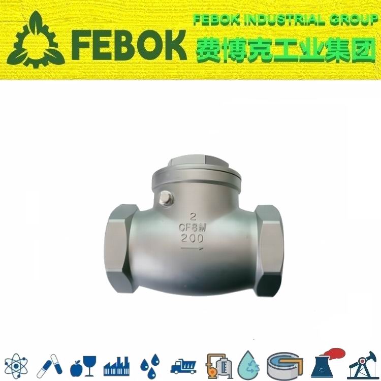 1714448049194978.jpg 进口内螺纹止回阀.jpg