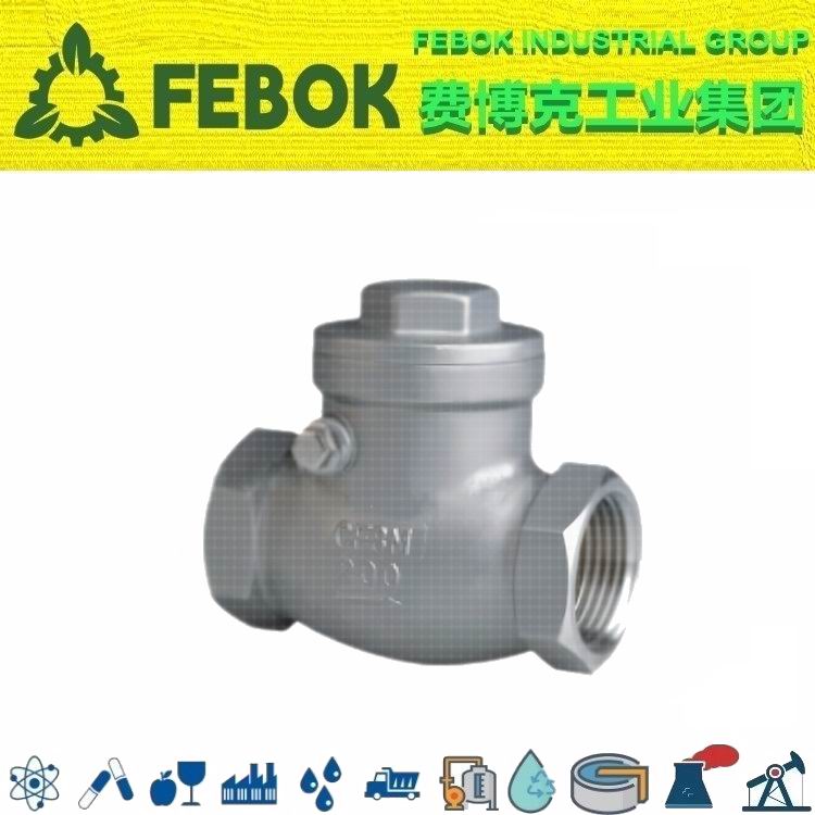 1714448067154847.jpg 进口内螺纹止回阀1.jpg